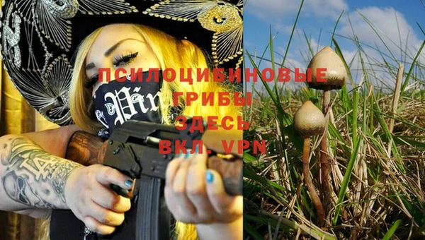 таблы Липки
