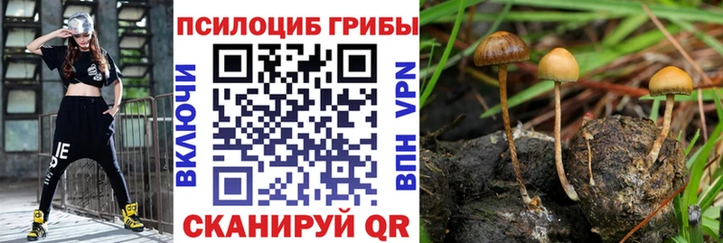 Галлюциногенные грибы ЛСД  Купить  Углич 